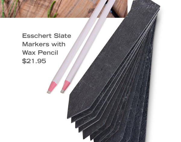 Esschert Slate Markers with Wax Pencil, $21.95