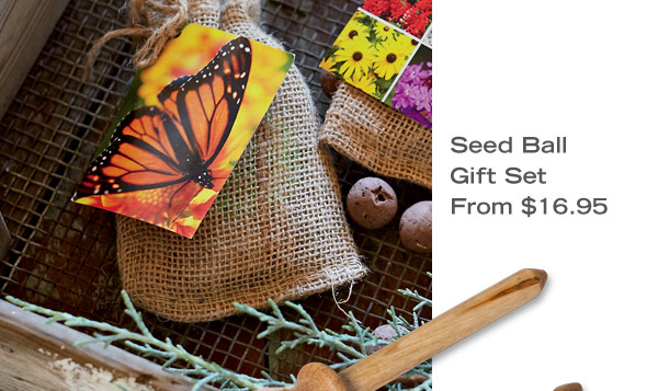 Seed Ball Gift Set, from $16.95