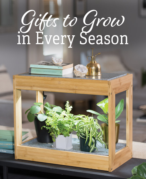 Gifts to Grow in Every Season!