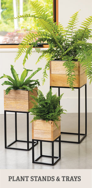 Shop Plant Stands & Trays