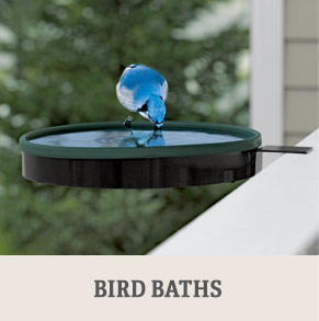 Shop Bird Baths