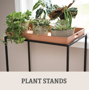 Shop Plant Stands