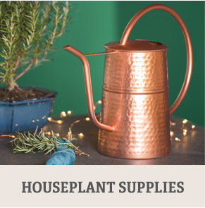 Shop Houseplant Supplies