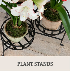 Shop Plant Stands