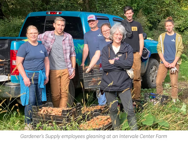 Gardener's Supply employees gleaning at an Intervale Center Farm