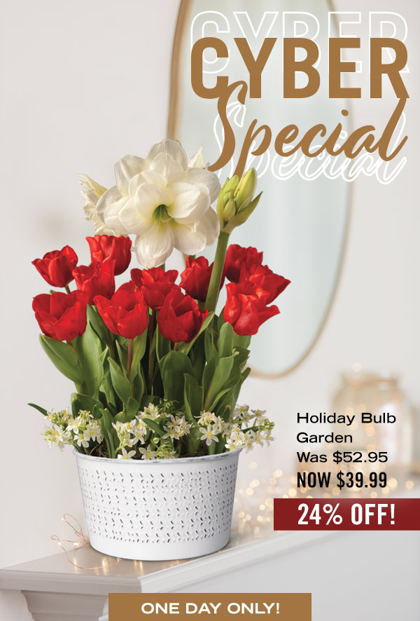 Cyber Special - Holiday Bulb Garden, was $52.95, now $39.99 - 24% off!