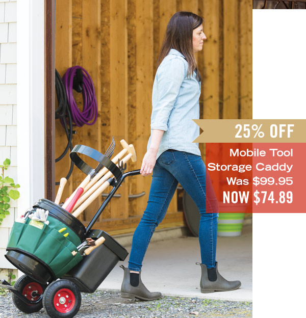 Mobile Tool Storage Caddy, was $99.95, now $74.89 - 25% off!