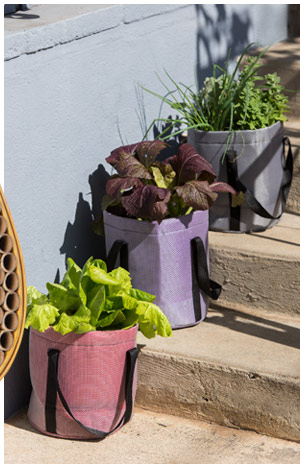 Colorful Grow Bags