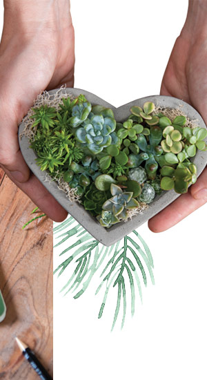 Cement Heart Planter