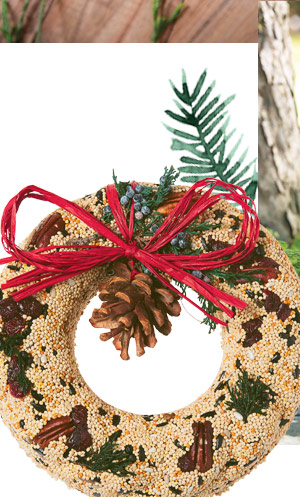 Birdseed Wreath