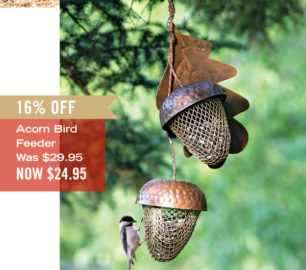 Acorn Bird Feeder, was $29.95, now $24.95 - 16% off