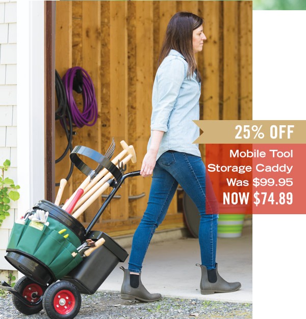 Mobile Tool Storage Caddy, was $99.95, now $74.89 - 25% off!