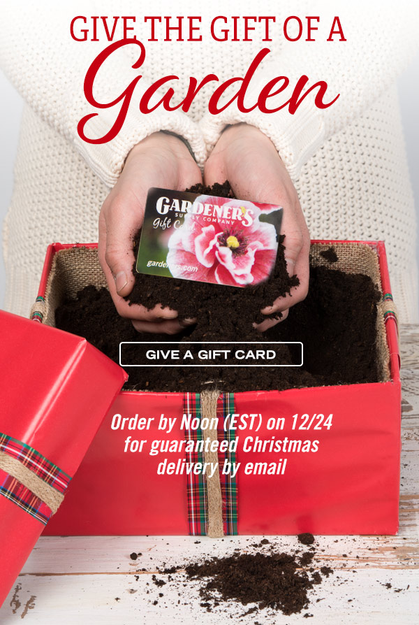 Give the Gift of a Garden! Give a Gift Card - Order by Noon (EST) on 12/24 for guaranteed Christmas delivery by email