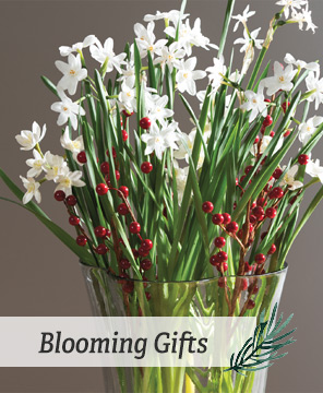 Shop Blooming Gifts