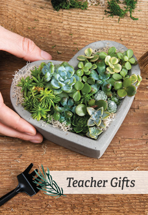 Shop Gifts Teacher Gifts