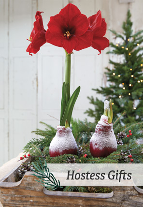 Shop Hostess Gifts