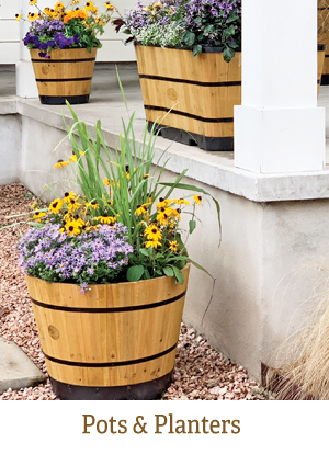 Shop Pots & Planters