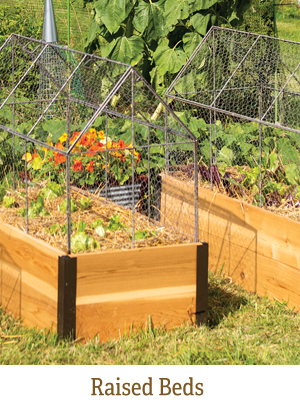 Shop Raised Beds