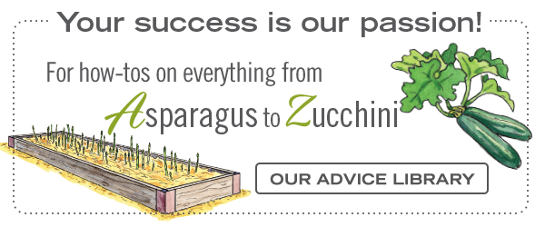 Your success is our passion! For how-tos on everything from Asparagus to Zucchini - Check out our Advice Library