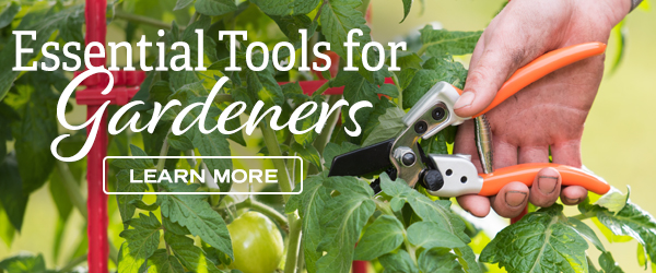 Essential Tools for Gardeners - Learn More