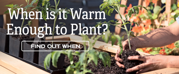 When is it warm enough to plant? Find Out When