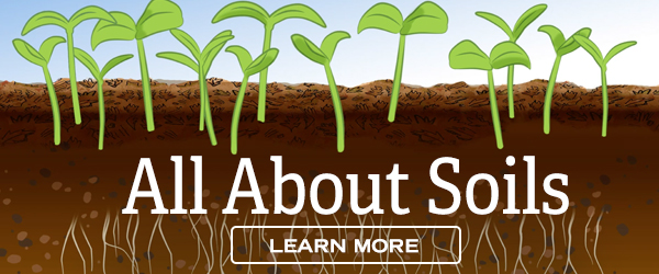 All About Soils - Learn More