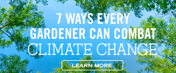 7 Ways Every Gardener Can Combat Climate Change - Learn More