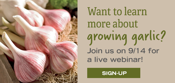 Want to learn more about growing garlic? Join us on 9/14 for a live webinar!