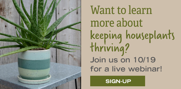 Want to learn more about keeping houseplants thriving? Join us on 10/19 for a live webinar! Sign-Up