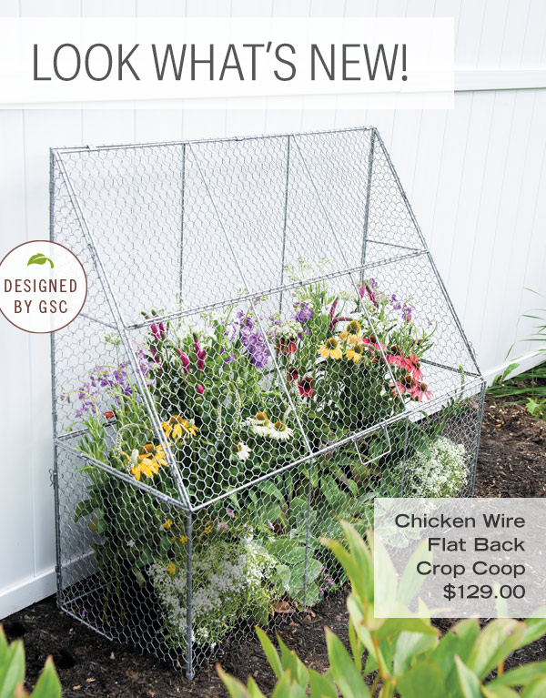 Look What's New! Chicken Wire Flat Back Crop Coop, $129. Designed by GSC.