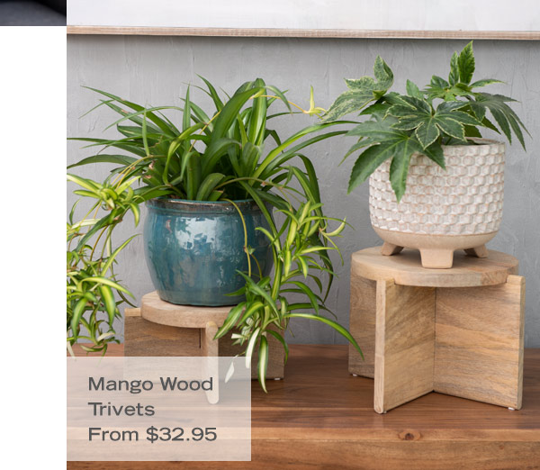 Mango Wood Trivets, from $32.95