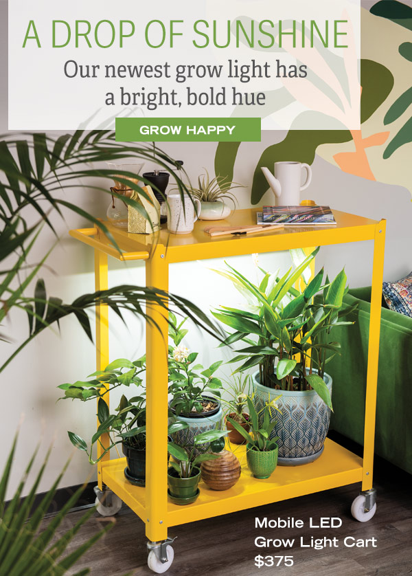 A Drop of Sunshine! Our newest grow light has a bright, bold hue - Grow Happy! Pictured: Mobile LED Grow Light Cart, in cheerful yellow, $375