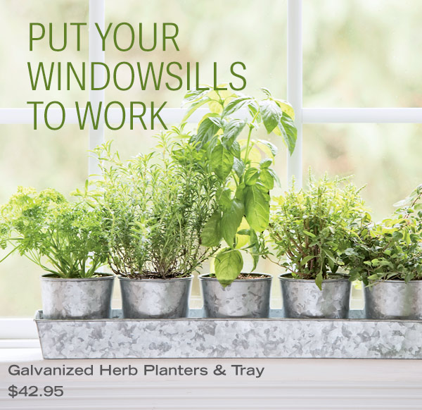 Put Your Windowsills to Work - Galvanized Herb Planters & Tray, was $34.95, now $27.49