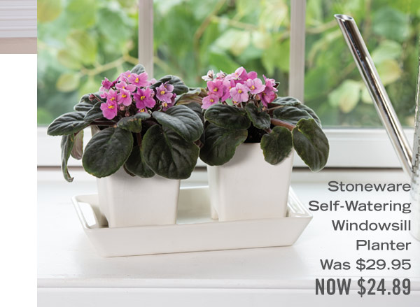 Stoneware Self-Watering Windowsill Planter, $29.95