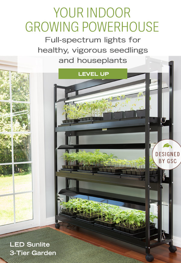 Your Indoor Growing Powerhouse - Full-spectrum lights for healthy, vigorous seedlings and houseplants