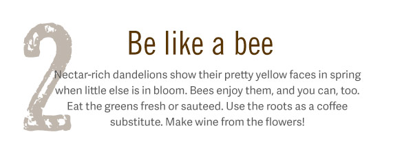 2. Be like a bee. Nectar-rich dandelions show their pretty yellow faces in spring when little else is in bloom. Bees enjoy them, and you can, too. Eat the greens fresh or sauteed. Use the roots as a coffee substitute. Make wine from the flowers!