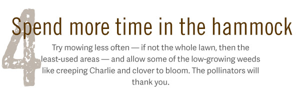 4. Spend more time in the hammock. Try mowing less often — if not the whole lawn, then the least-used areas — and allow some of the low-growing weeds like creeping Charlie and clover to bloom. The pollinators will thank you.