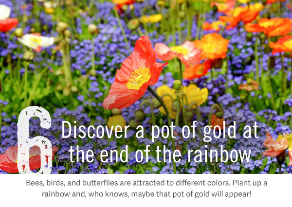 6. Discover a pot of gold at the end of the rainbow. Bees, birds, and butterflies are attracted to different colors. Plant up a rainbow and, who knows, maybe that pot of gold will appear!