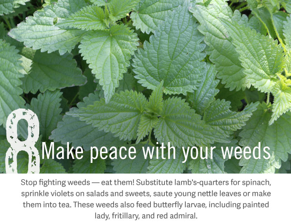 8. Make peace with your weeds. Stop fighting weeds — eat them! Substitute lamb's-quarters for spinach, sprinkle violets on salads and sweets, saute young nettle leaves or make them into tea. These weeds also feed butterfly larvae, including painted lady, fritillary, and red admiral.