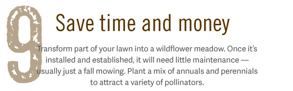 9. Save time and money. Transform part of your lawn into a wildflower meadow. Once it’s installed and established, it will need little maintenance — usually just a fall mowing. Plant a mix of annuals and perennials to attract a variety of pollinators.