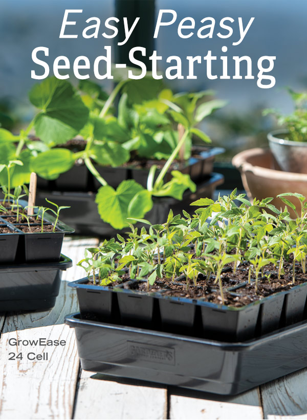 Easy Peasy Seed-Starting