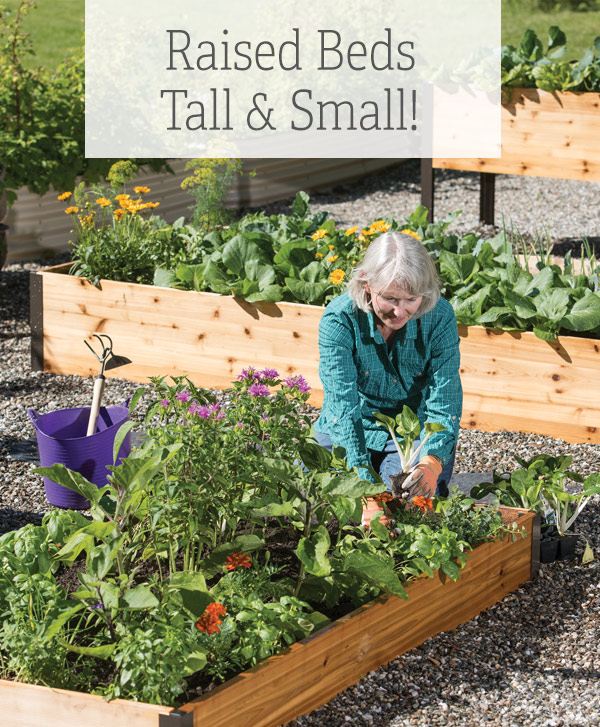 Raised Beds Tall & Small