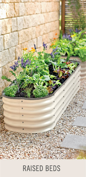 Shop Raised Beds