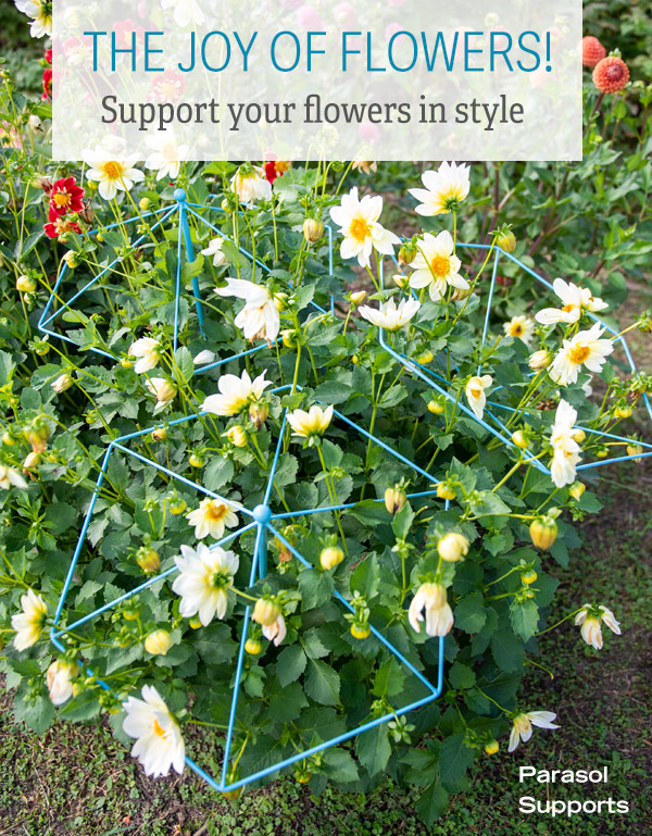 The Joy of Flowers! Support your flowers in style. Pictured: Parasol Supports