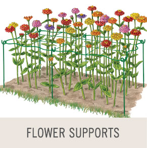 Shop Flower Supports