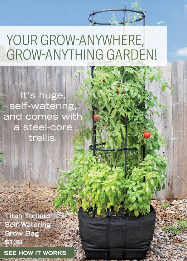 Your Grow-Anywhere, Grow-Anything Garden! Titan Tomato Self-Watering Grow Bag, $139 - See how it works!