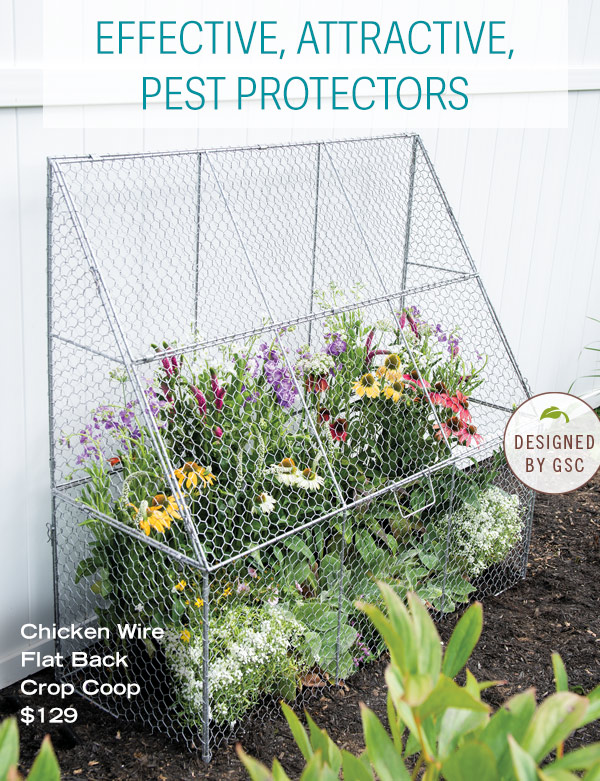 Effective, Attractive, Pest Protectors. Pictured: Chicken Wire Flat Back Crop Coop, $129 - Designed by GSC!