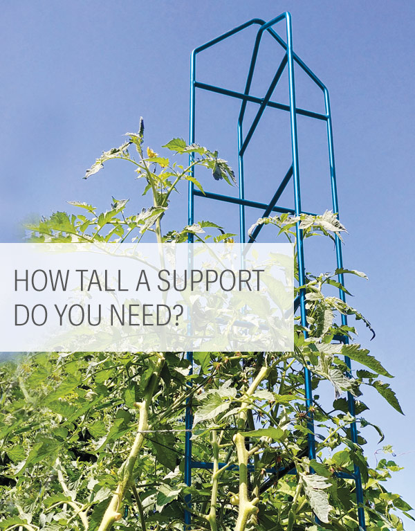 How Tall a Support Do You Need?