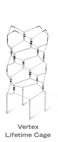 Vertex Lifetime Cage