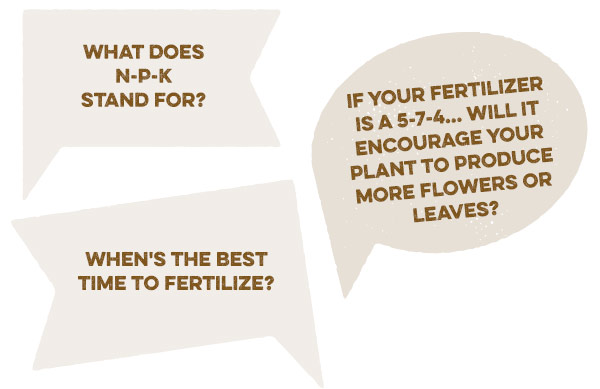 What does N-P-K stand for? If your fertilizer is a 5-7-4... will it encourage your plant to produce more flowers or leaves? When's the best time to fertilize?